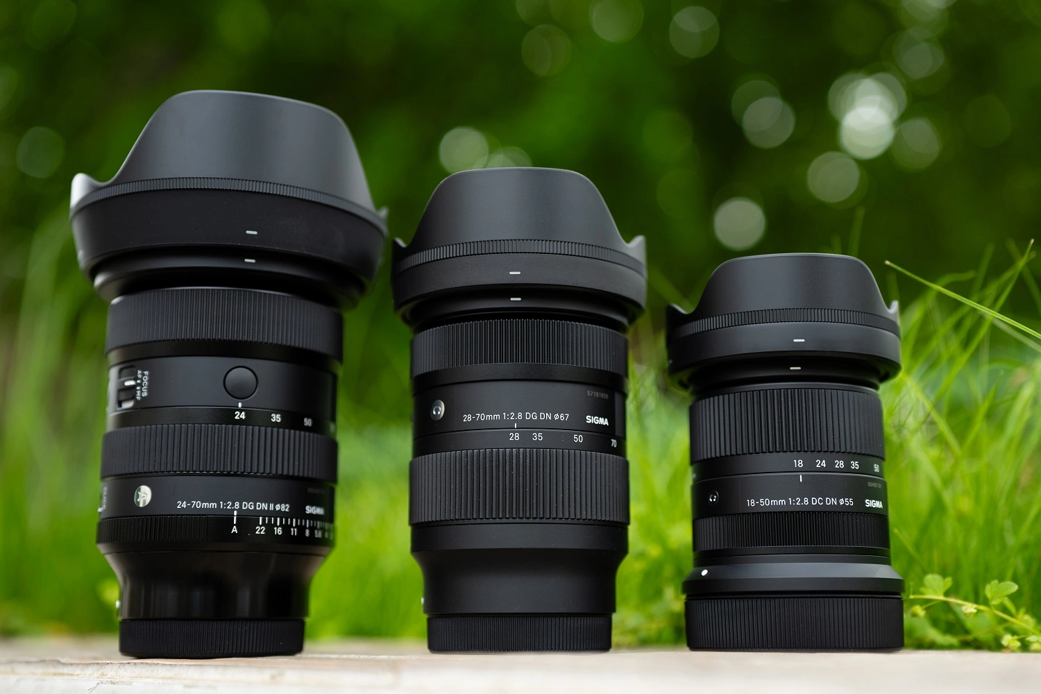 Jaki obiektyw wybrać na początek? SIGMA Art czy SIGMA Contemporary?